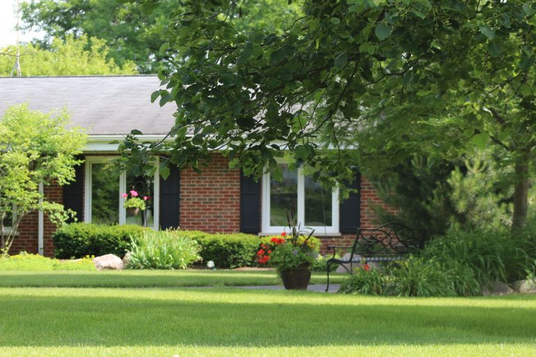 About The Vines The Vines Senior Homes